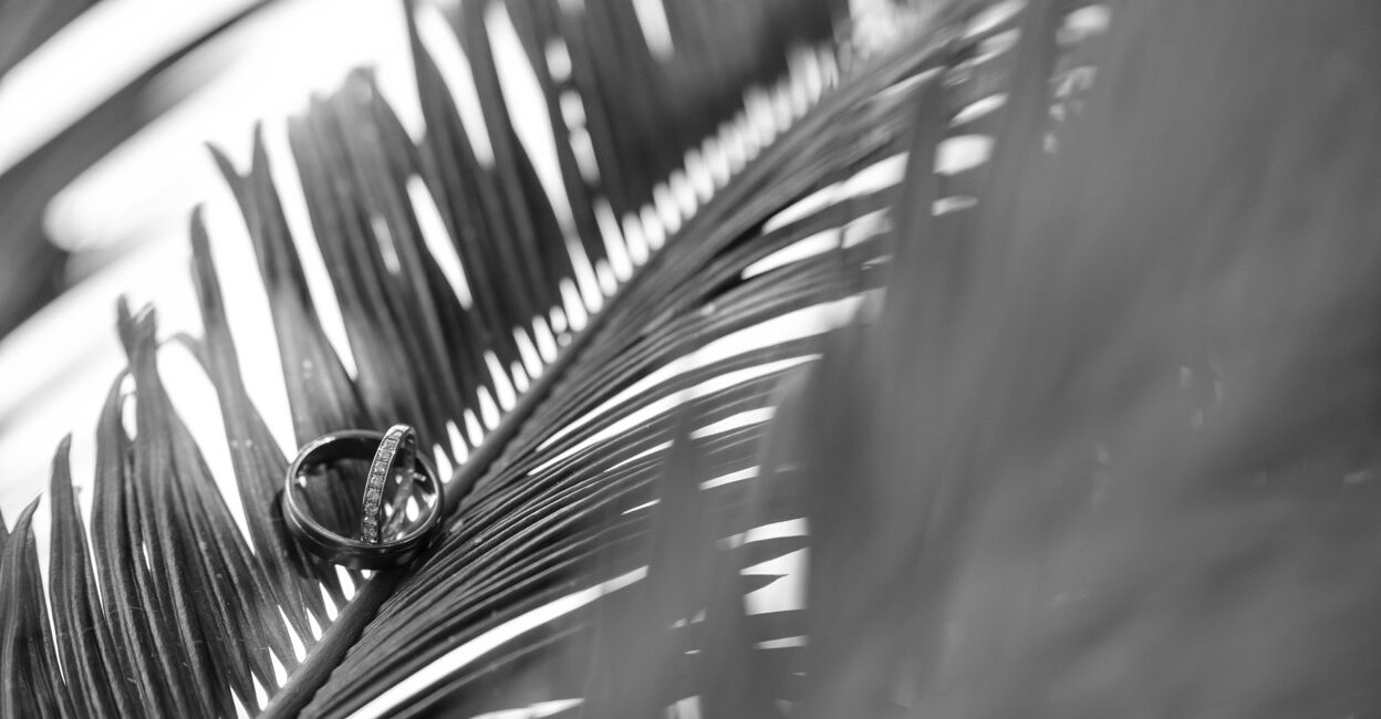 Franchissez le pas : contact photographe mariage avec Studio Argo.