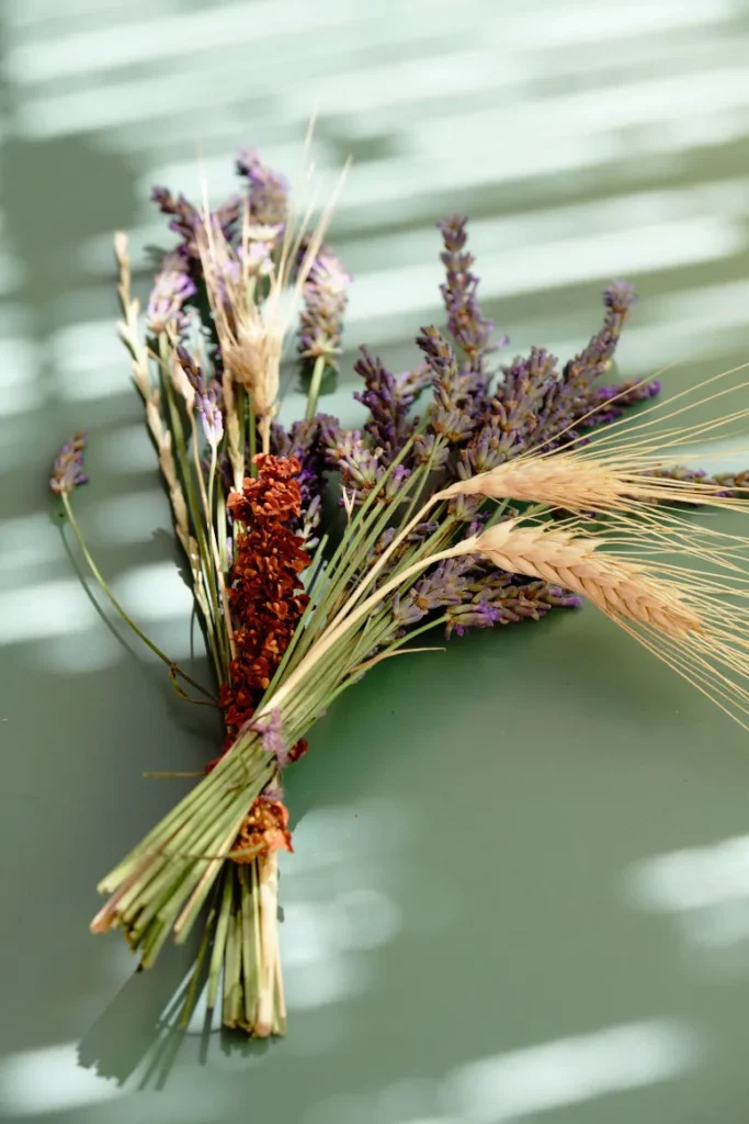 Bouquet de fleurs provençal capturé par Studio Argo, photographe mariage Provence dans une lumière contrastée du sud.
